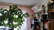 Buy an apartment, Voznyuka-ul, Ukraine, Днепр, Samarskiy district, 2  bedroom, 62 кв.м, 1 220 000 uah